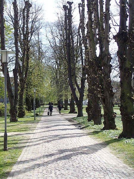 File:Rådhusparken (allé) 02.jpg