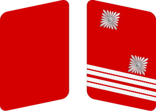 File:SA-Haupttruppführer.svg