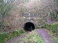 Sapperton Canal Tunnel