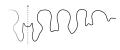 Suture pattern of Shumardites