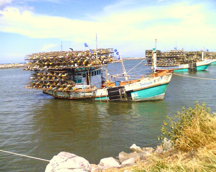 File:Thai fishing boats.jpg