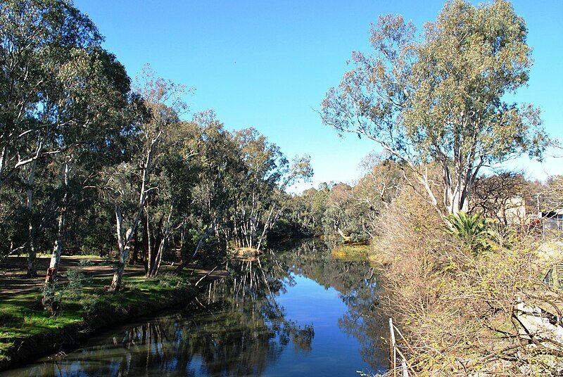 File:WangarattaOvensRiver.JPG