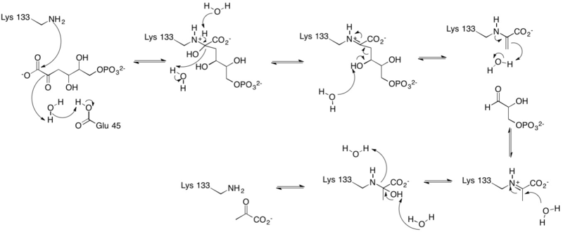 File:Aldolase18916.png