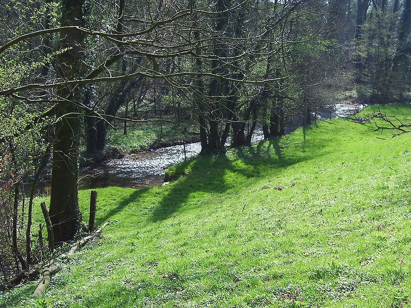 File:Angerbach.jpg