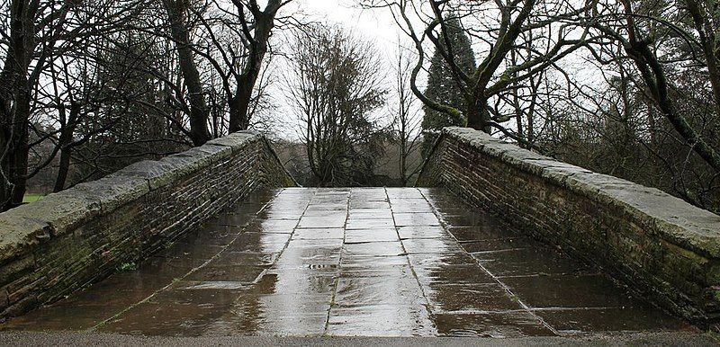 File:Bridge, Watermeadows Park.jpg