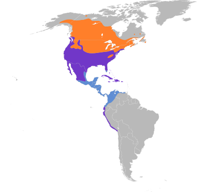 File:Charadrius vociferus map.svg