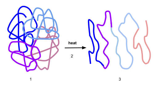 File:Diagram -2 denaturation.svg