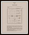 Proportions of a human male face