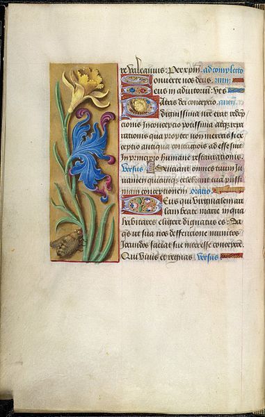 File:Folio-37-BL British Library.jpg