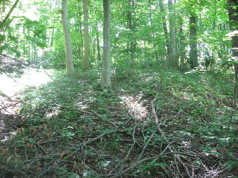 File:Hillside Haven Mound.jpg