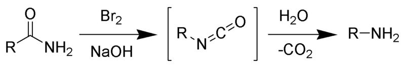 File:Hofmann Rearrangement Scheme.png