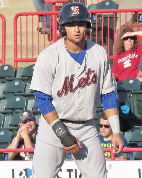 File:LJ Mazzilli (19350742920).jpg