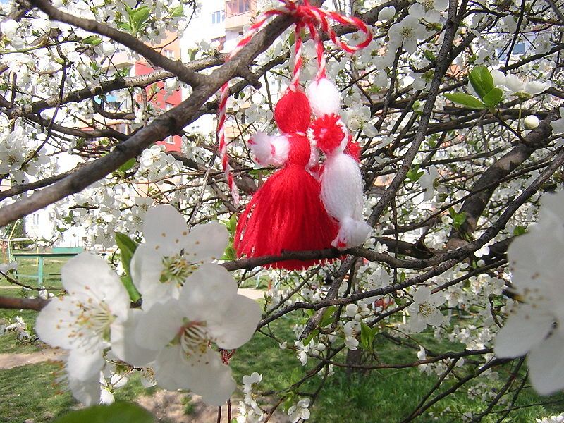 File:Martenitsa-blossom.JPG