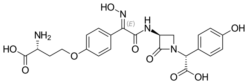 File:Nocardicin A.png