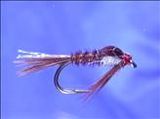 Pheasant Tail Nymph