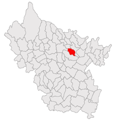 Location in Buzău County