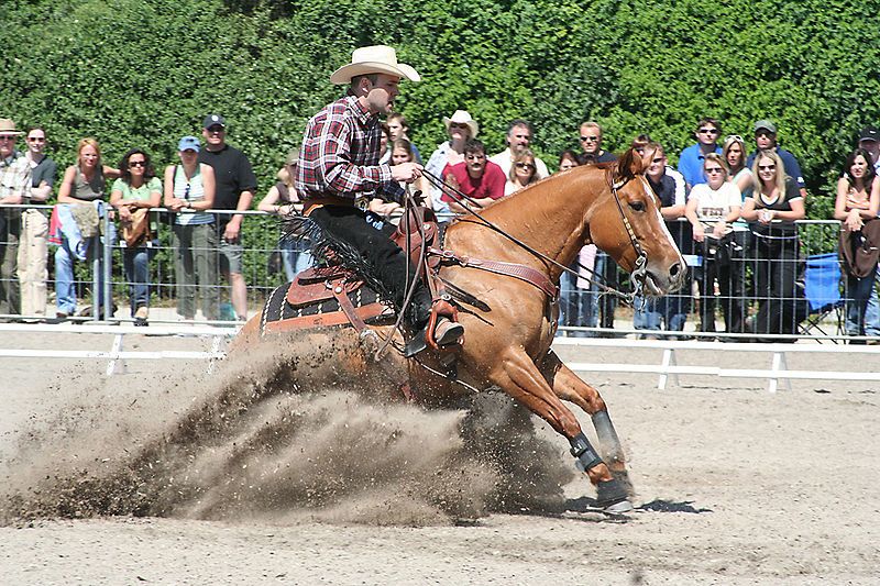 File:Reining slidingstop.jpg