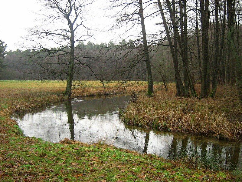 File:Rheinsberger-Rhin-vor-Zechow-24-01-2008-063.jpg