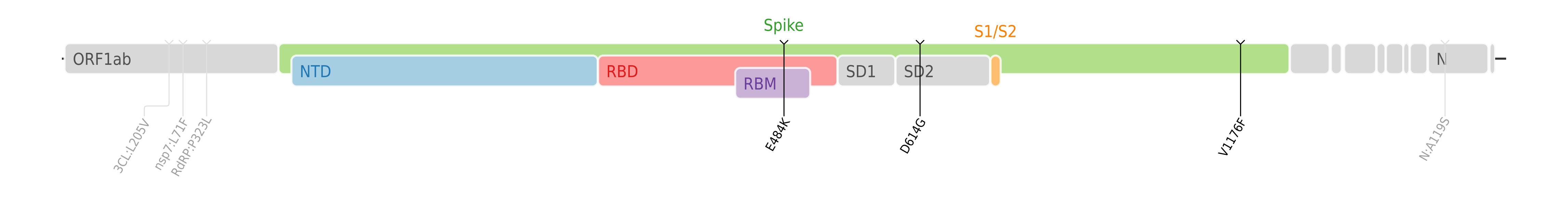 Amino acid mutations of SARS-CoV-2 Zeta variant plotted on a genome map of SARS-CoV-2 with a focus on the spike.[6]