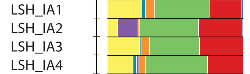 File:Saka-Khotan DNA2.png