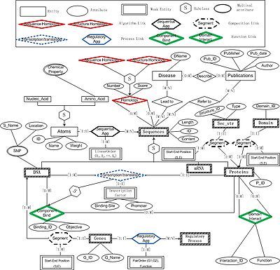 Semantic Model for Biological Entities and Their Relationships