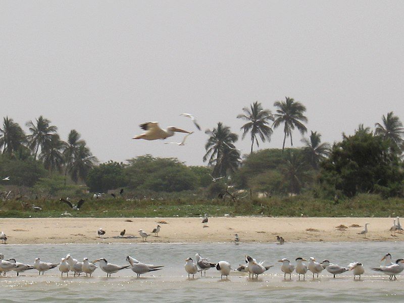 File:Senegal 2006.jpg