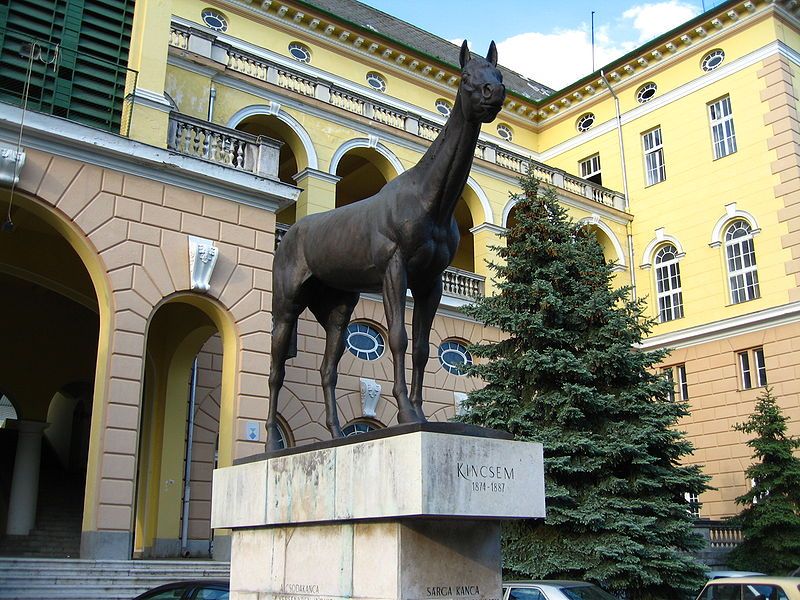 File:Statue of Kincsem.JPG