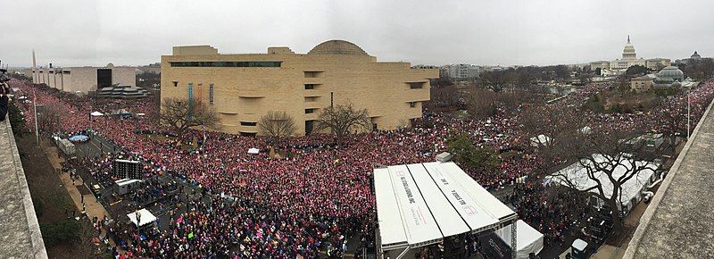 File:Women's March C2tP8d5XEAAaxFK.jpg