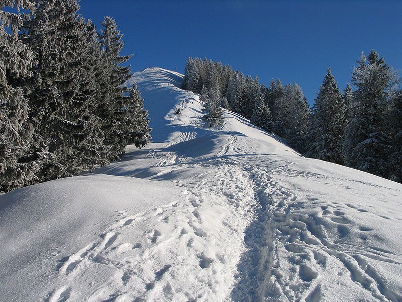 File:20090103-Baumgartenschneid.jpg