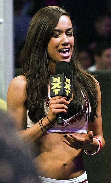 File:AJ Lee.jpg