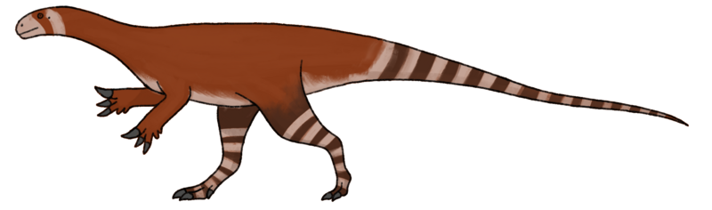 File:Agrosaurus reconstruction.png