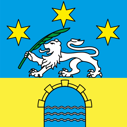 File:CHE Arbedo-Castione Flag.svg