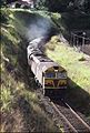 NSWR loco 8025 and another haul the Sydney bound 'Brisbane Limited' past the former Gloucester Road station site, 1987