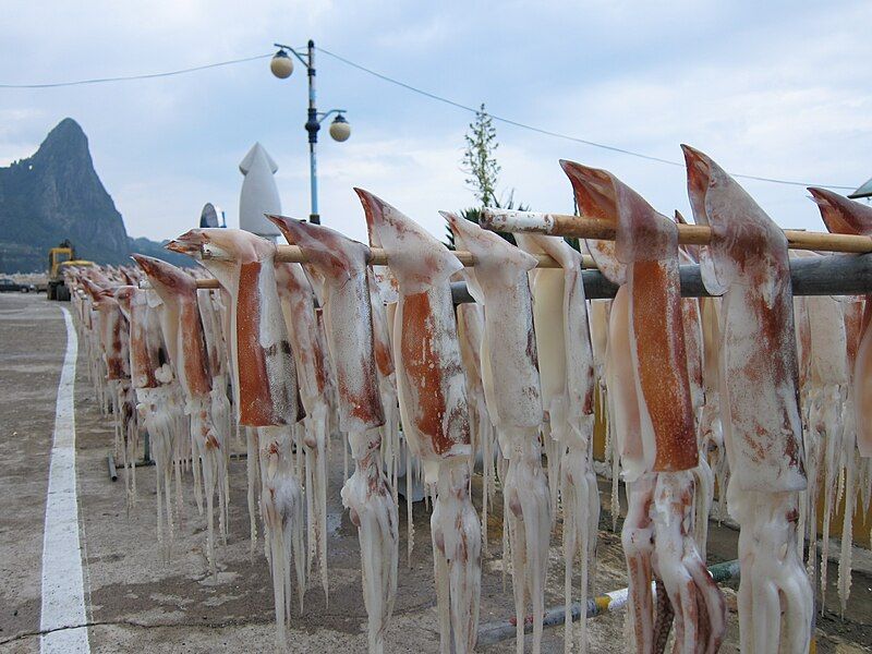 File:Drying squid.jpg