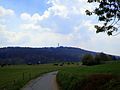 The view of Felsberg (Odenwald) from Hutzelstraße (Hutzelstreet) (2017)