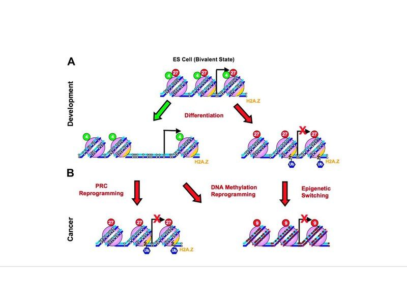 File:Figure.pdf