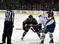 Derek MacKenzie (blue) and Manny Malhotra (white) take a face-off during a Columbus Blue Jackets - Vancouver Canucks game