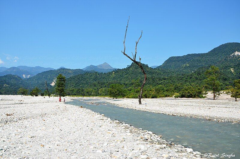 File:Jayanti river Alipurduar.jpg