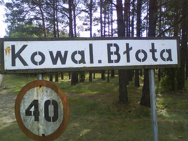 File:Kowalskie Błota.JPG