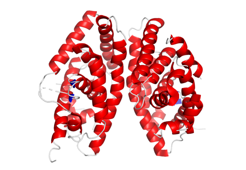 File:LXRα-RXR whole structure.png