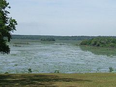 View from south shore