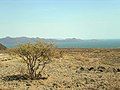 Lake Turkana