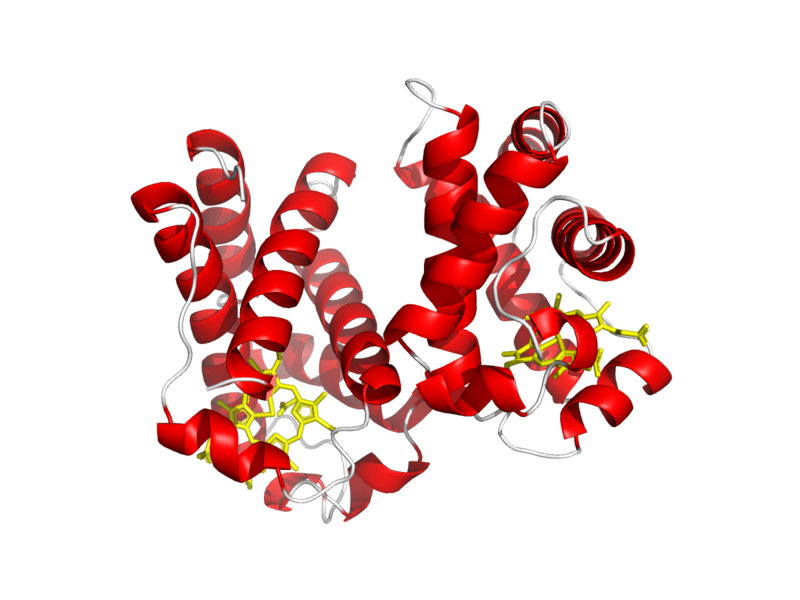 File:Leghemoglobin A.png