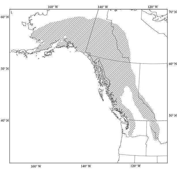 File:Marmota caligata range.jpg