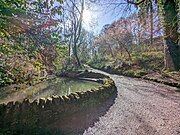 Ninesprings Country Park