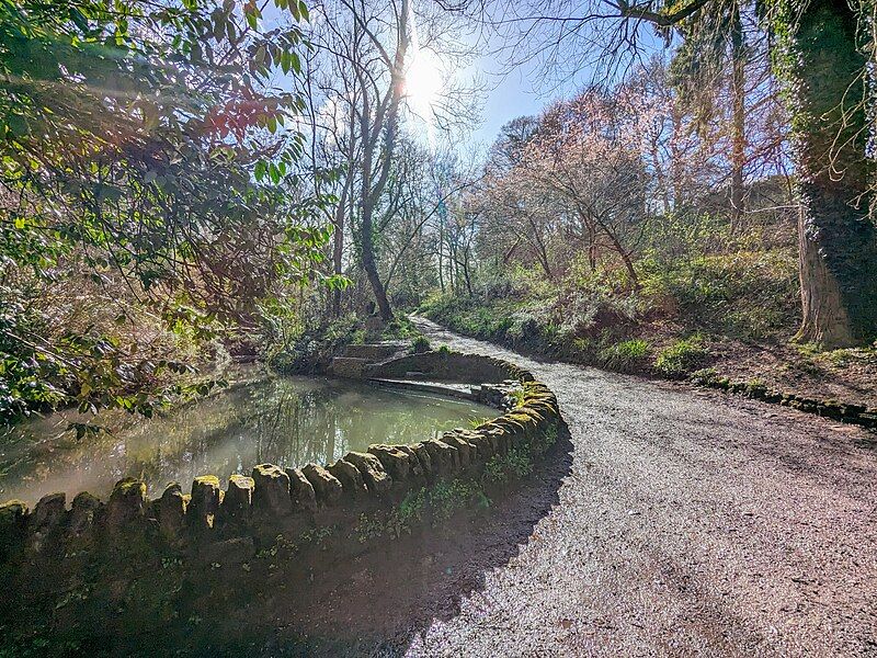 File:Ninesprings Country Park.jpg