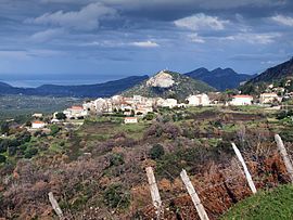 A general view of Olmeta-di-Tuda village