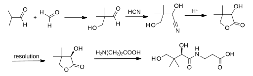 File:Pantothenic acid synthesis.svg