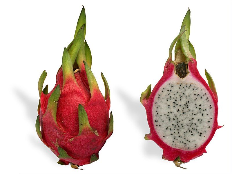 File:Pitaya cross section.jpg