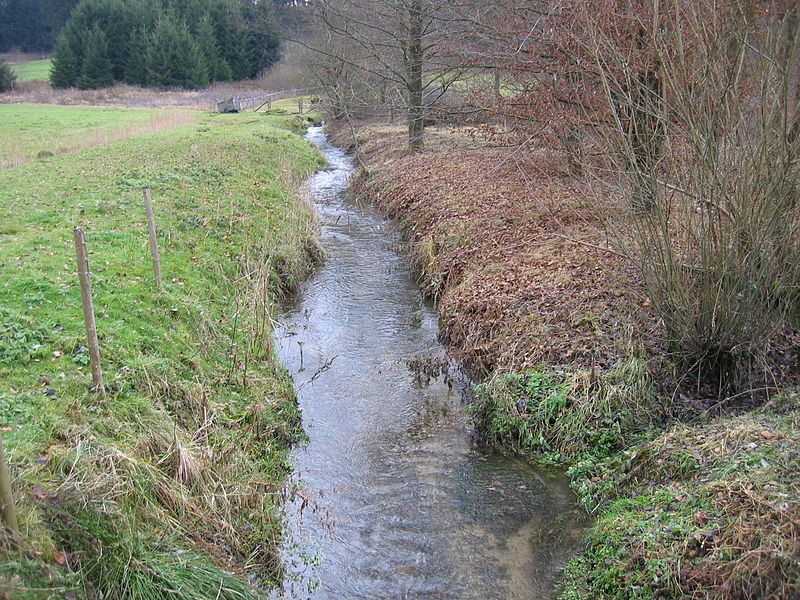 File:Ringgenbach Fluss.JPG